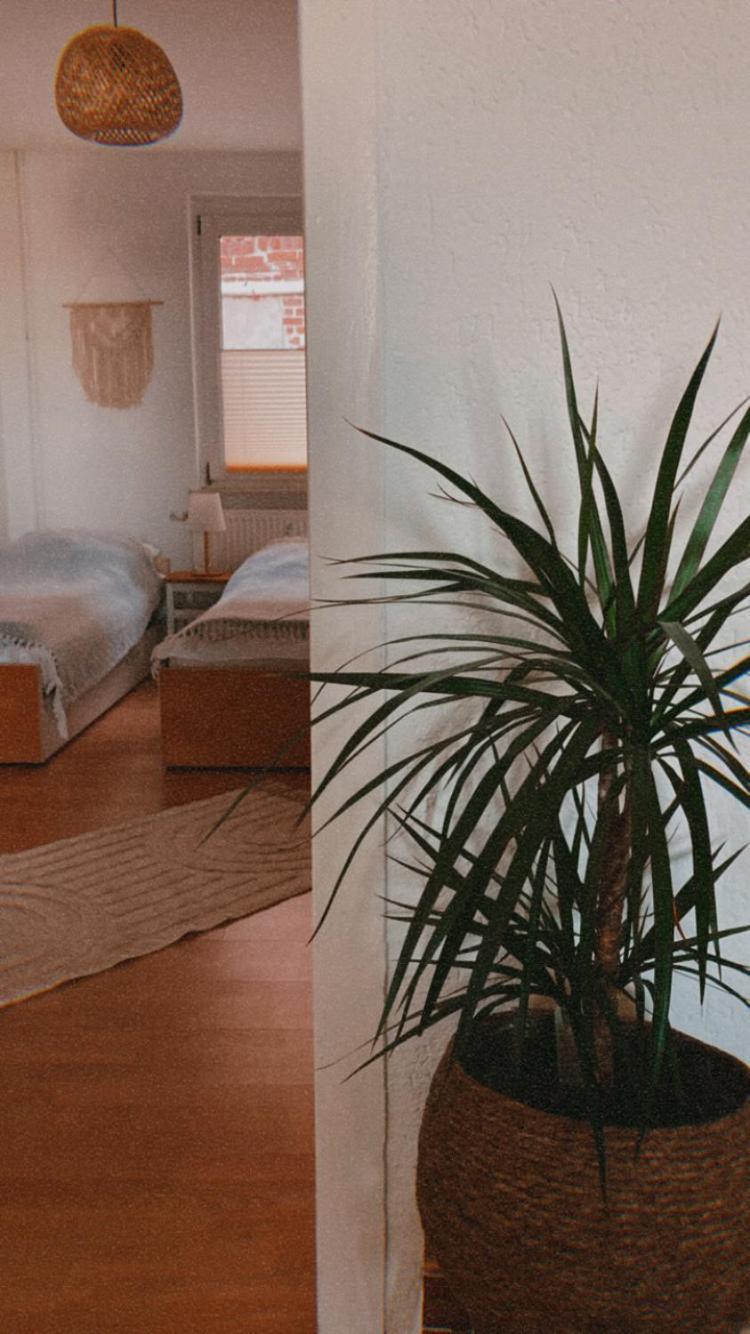 Ferienwohnung Nr. 1 Terrasse Bodden Kanu Bootssteg Zudar Eksteriør billede